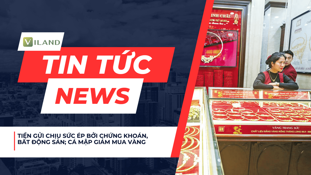 Chuyên nhà cho thuê và tra cứu quy hoạch thông minh