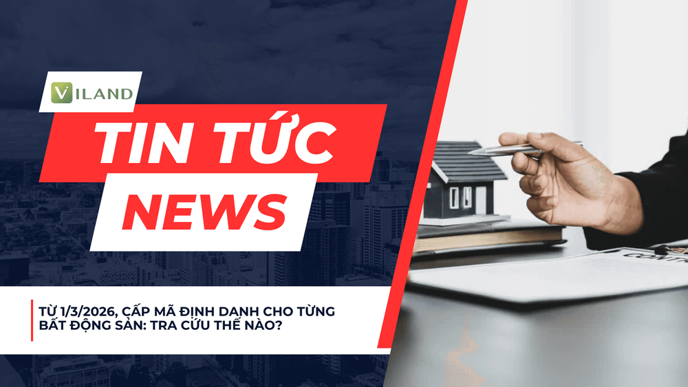 Chuyên nhà cho thuê và tra cứu quy hoạch thông minh