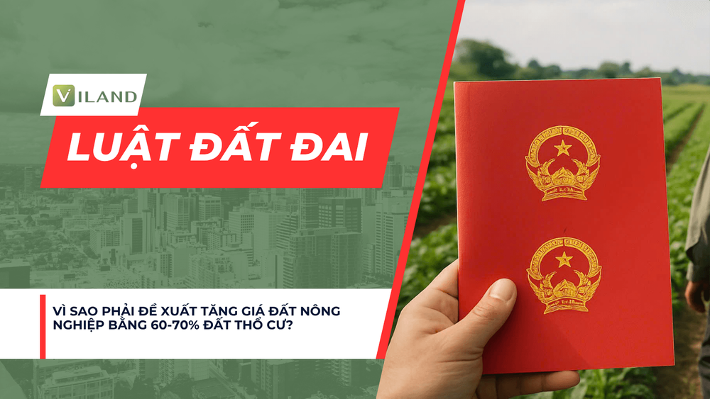 Chuyên nhà cho thuê và tra cứu quy hoạch thông minh