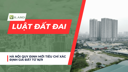 Chuyên nhà cho thuê và tra cứu quy hoạch thông minh