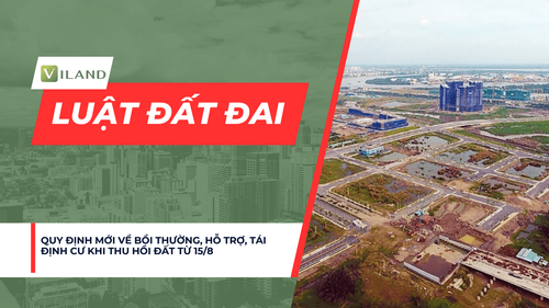 Chuyên nhà cho thuê và tra cứu quy hoạch thông minh