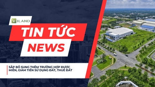 Chuyên nhà cho thuê và tra cứu quy hoạch thông minh