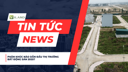 Chuyên nhà cho thuê và tra cứu quy hoạch thông minh