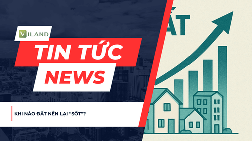 Chuyên nhà cho thuê và tra cứu quy hoạch thông minh