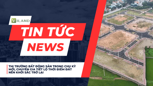 Chuyên nhà cho thuê và tra cứu quy hoạch thông minh