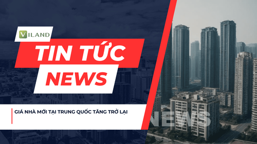 Chuyên nhà cho thuê và tra cứu quy hoạch thông minh