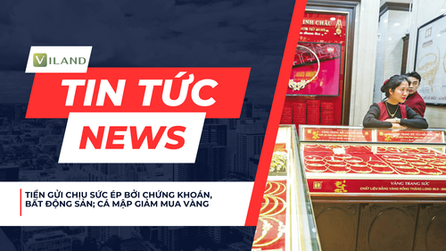 Chuyên nhà cho thuê và tra cứu quy hoạch thông minh
